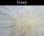 Organza Ivory