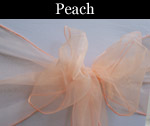 Organza Peach