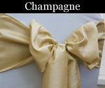 Taffeta Champagne